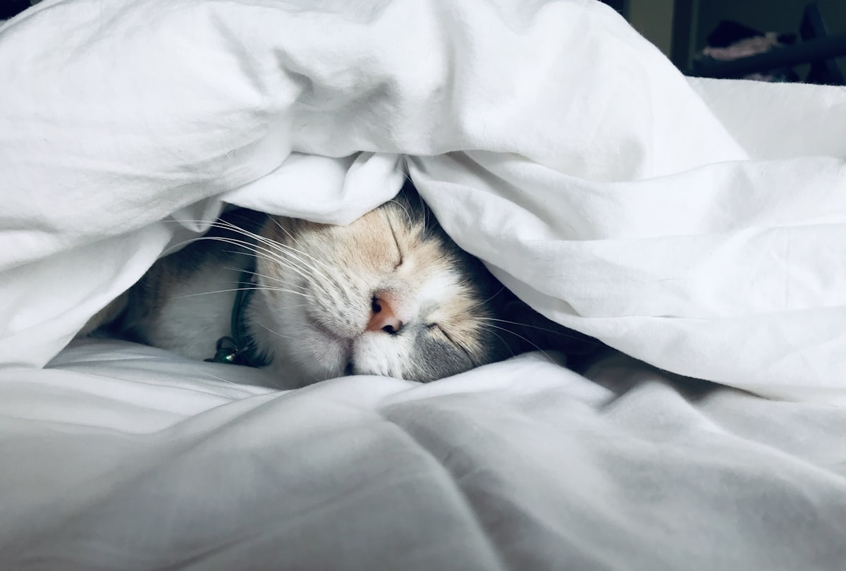 Sleep research and neuropeptide science
