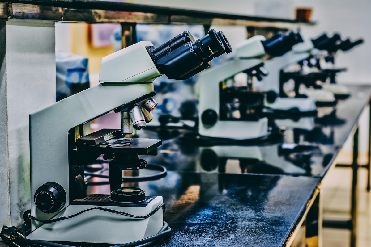 Telomerase and longevity research
